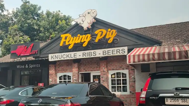 Flying Pig