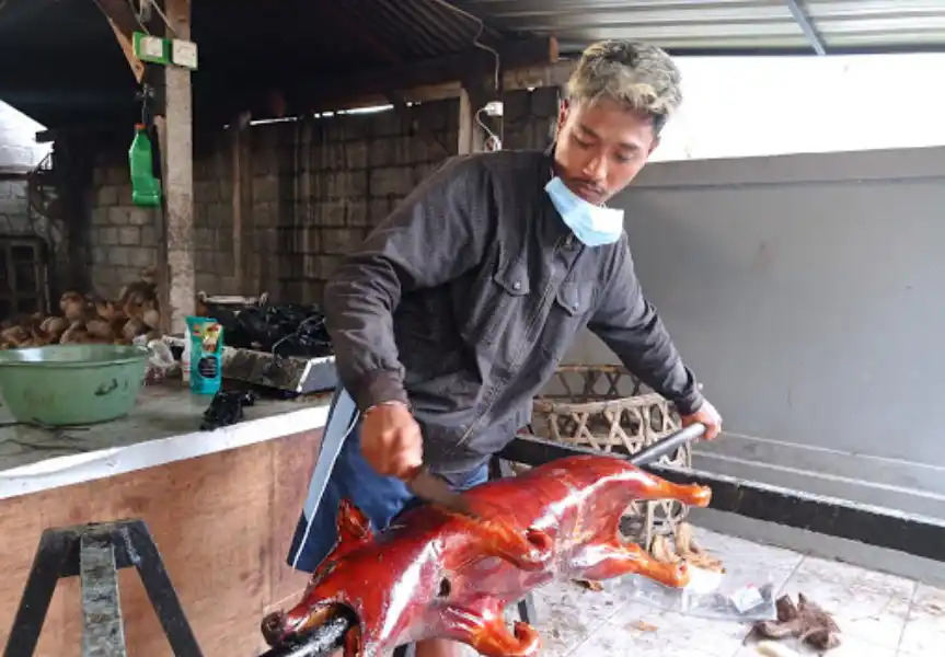 Foto Proses Pemotongan Babi Guling Jik Kadot