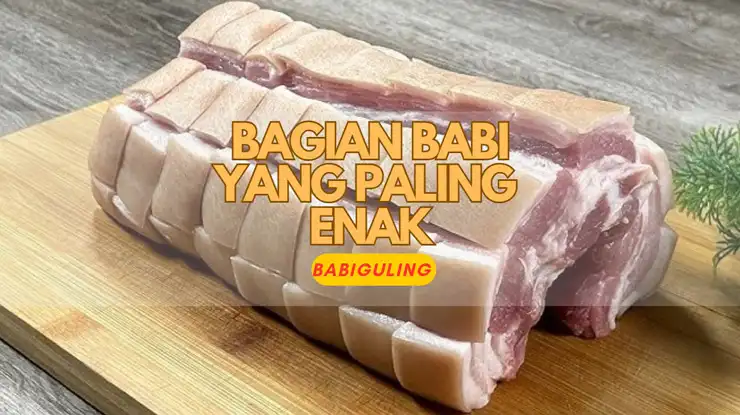 Bagian Babi yang Paling Enak