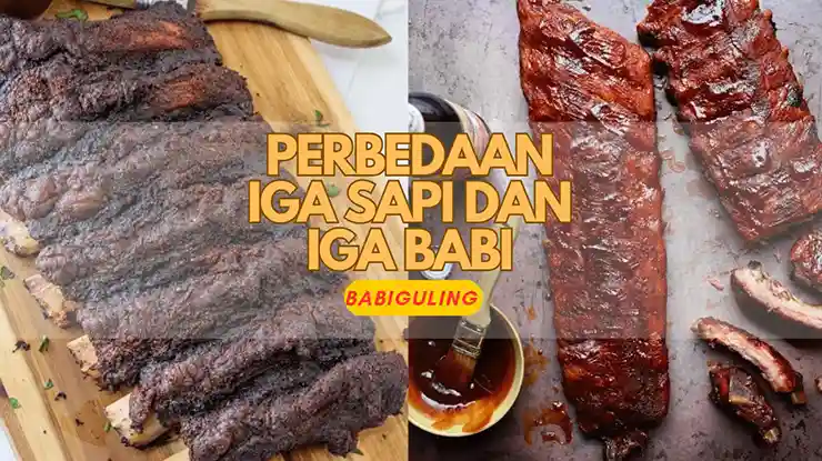 Perbedaan Iga Sapi dan Iga Babi